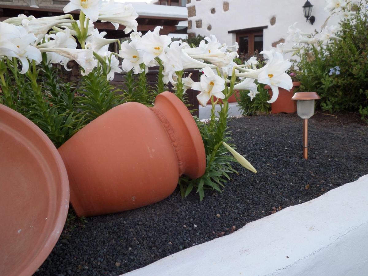 Finca De Los Abuelos Guatiza ภายนอก รูปภาพ